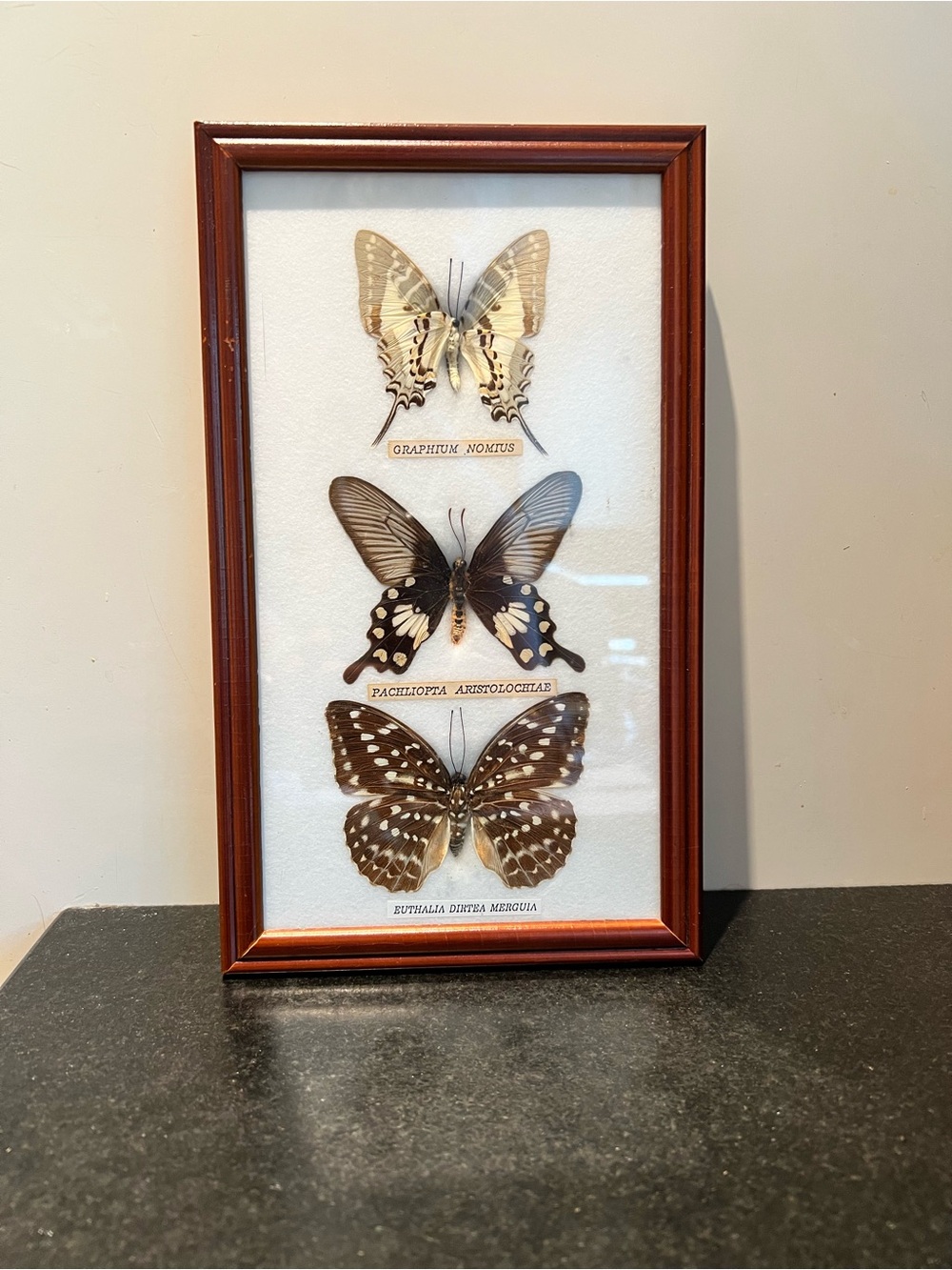 Three-Butterfly Framed Wall Art in Brown Wood Frame